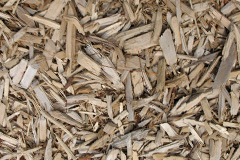 biomass boilers Camault Muir